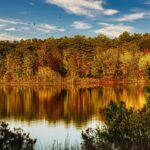 sermon: Love of Place